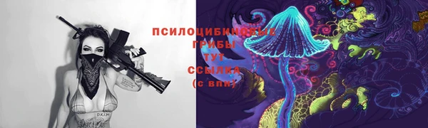 МДПВ Белокуриха