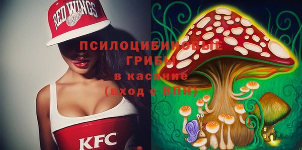 МДПВ Белокуриха