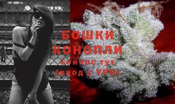 МДПВ Белокуриха