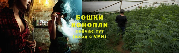 стаф Балабаново