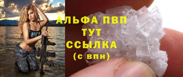 PSILOCYBIN Богородск