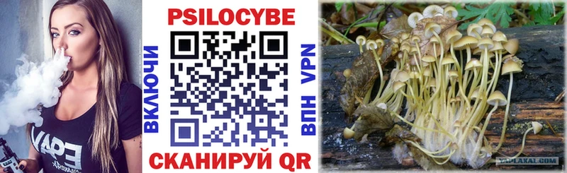 купить   Валдай  Псилоцибиновые грибы мицелий 